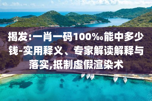 揭發(fā):一肖一碼100‰能中多少錢-實(shí)用釋義、專家解讀解釋與落實(shí),抵制虛假渲染術(shù)